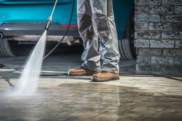 Best Animal Enclosure Cleaning  in Willard, OH