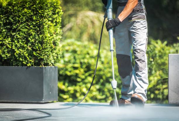 Best House Exterior Washing  in Willard, OH