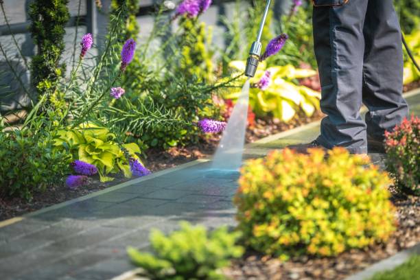 Best Pre-Holiday Cleaning  in Willard, OH