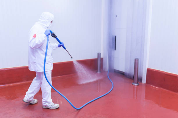 Best Sidewalk and Walkway Cleaning  in Willard, OH